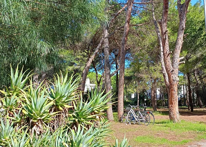 Leccesine סן קטאלדו