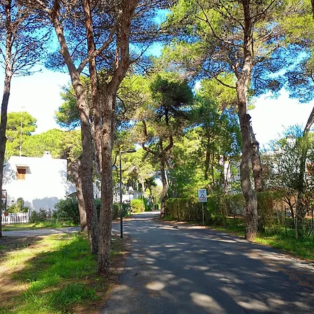 Apartman Leccesine San Cataldo